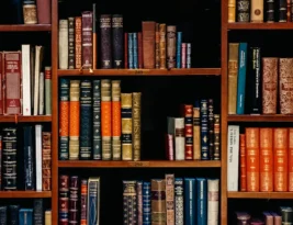 Battle of the Bookstores by Ali Brady Book Review