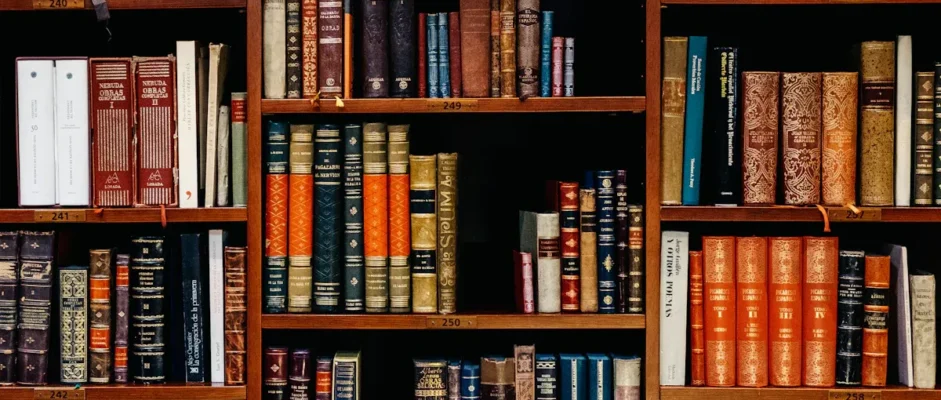 Battle of the Bookstores by Ali Brady Book Review