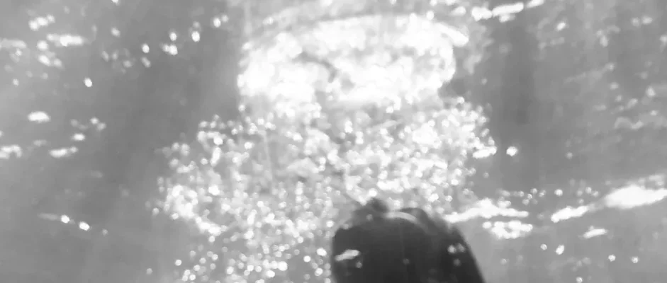 A Magic Deep and Drowning by Hester Fox Book Review