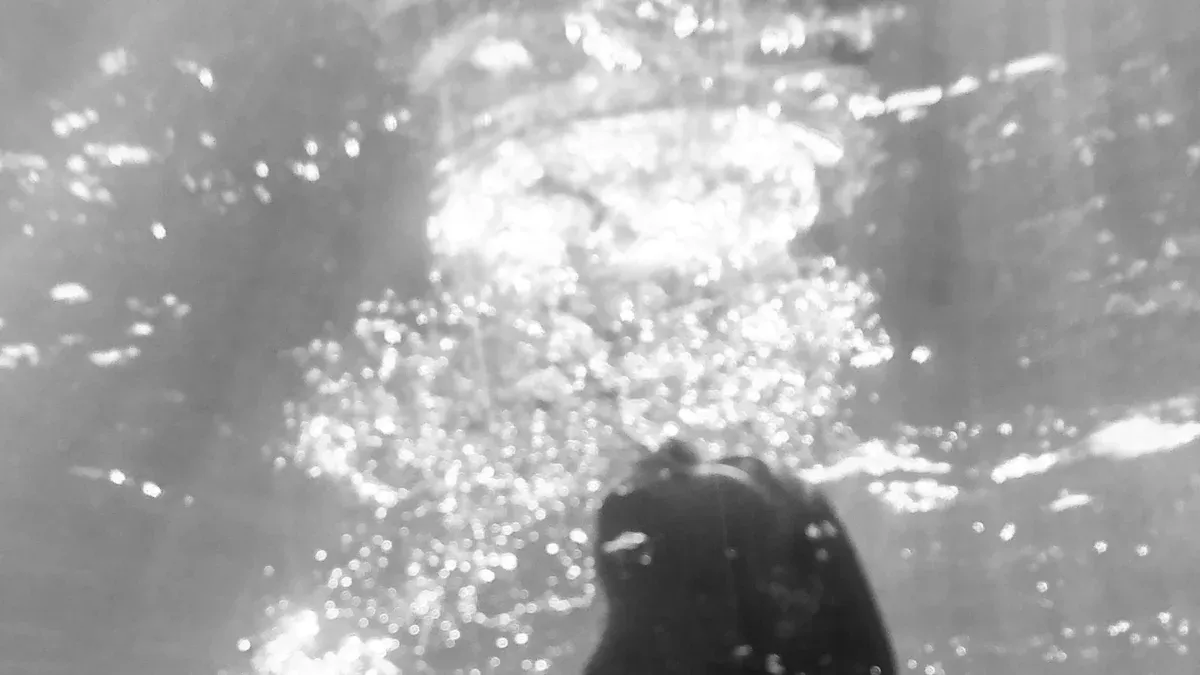 A Magic Deep and Drowning by Hester Fox Book Review