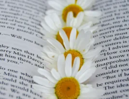 Everything We Never Knew by Julianne Hough Book Review