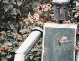 Before Dorothy by Hazel Gaynor Book Review