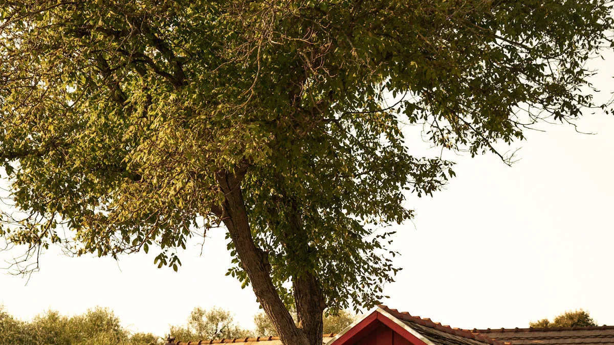 The Farmhouse by Chelsea Conradt Book Review