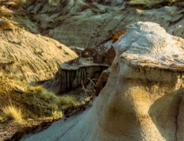 Badlands by Douglas Preston Book Review