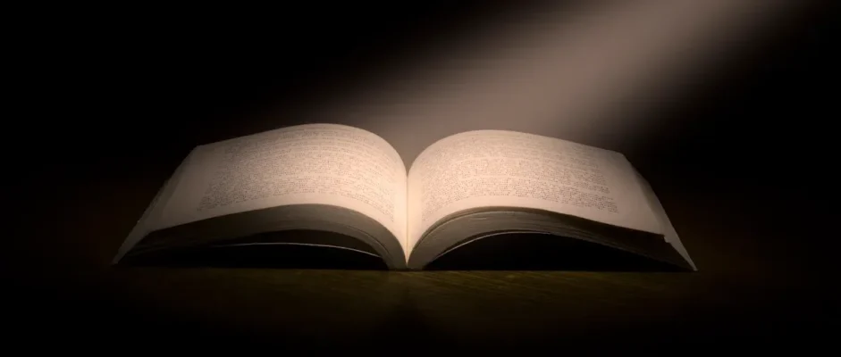 Don'
                style=