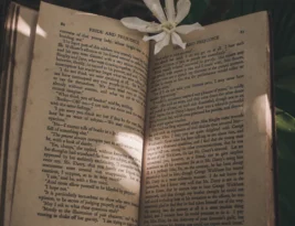 A Dance of Lies by Brittney Arena Book Review