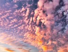 A Sky Full of Love by Lorna Lewis Book Review