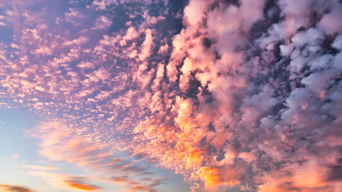 A Sky Full of Love by Lorna Lewis Book Review