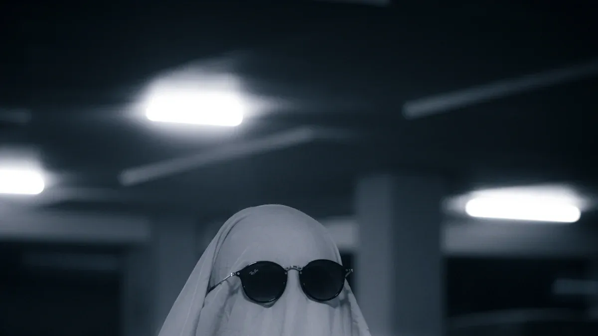 This Is Not a Ghost Story by Amerie Book Review