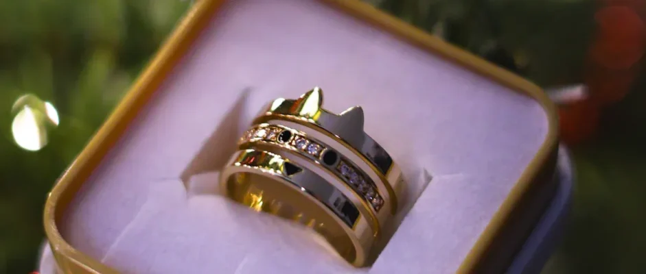 King of Ashes by S.A. Cosby Book Review