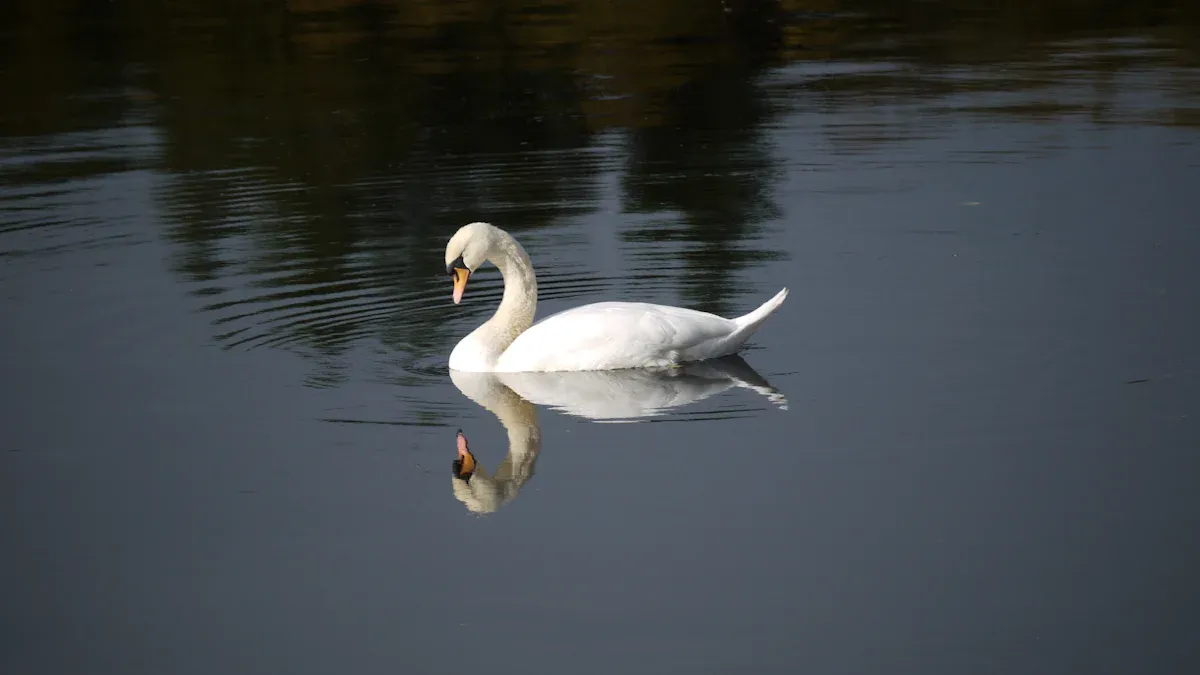 A Treachery of Swans by A.B. Poranek Book Review