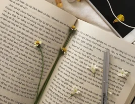 Never Thought I’d End Up Here by Ann Liang Book Review