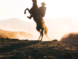 The Tenderfoot: A Classic Western by Robert Vaughan Book Review