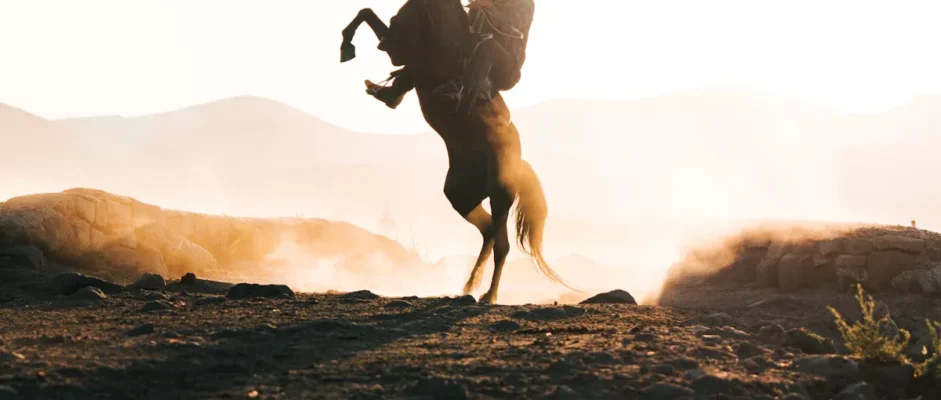 The Tenderfoot: A Classic Western by Robert Vaughan Book Review